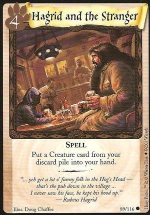 Hagrid and the Stranger